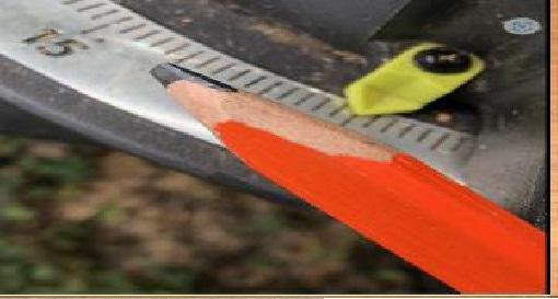 Carpenter pencil